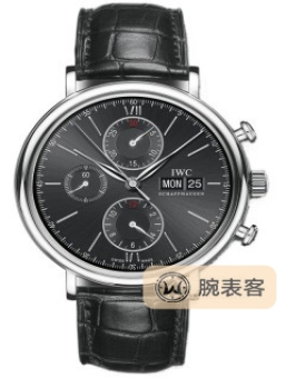 IWC万国表柏涛菲诺 IW391008