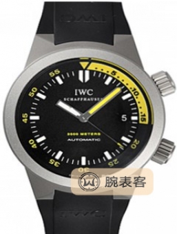 IWC万国表海洋时计 IW353804