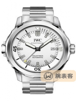 IWC万国表海洋时计 IW329004